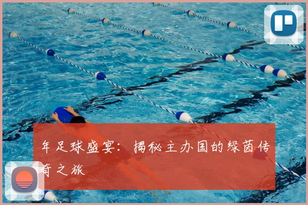 年足球盛宴:揭秘主办国的绿茵传奇之旅